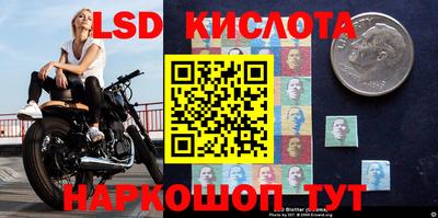 прущие грибы Наро-Фоминск